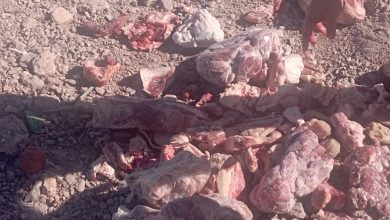صورة السلطات بايمنتانوت تحجز كميات من اللحوم الفاسدة